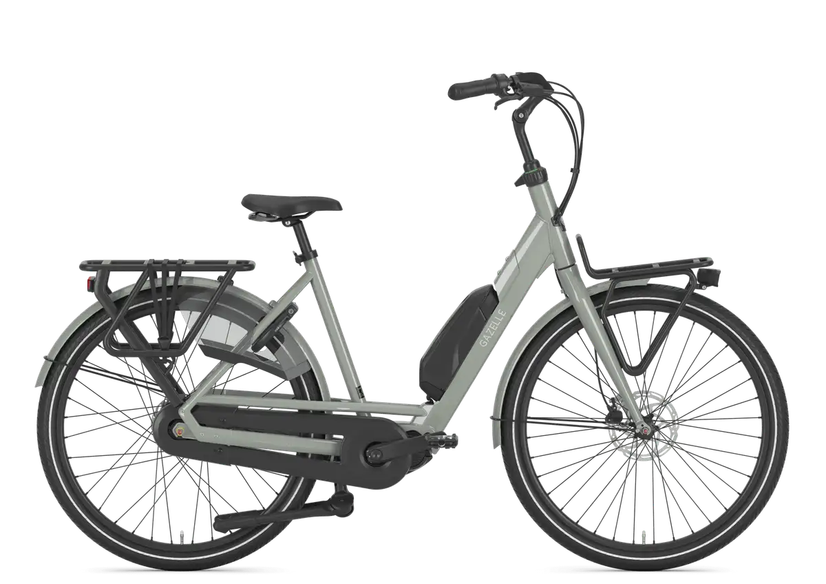 Gazelle Bloom C310 - Afbeelding 1