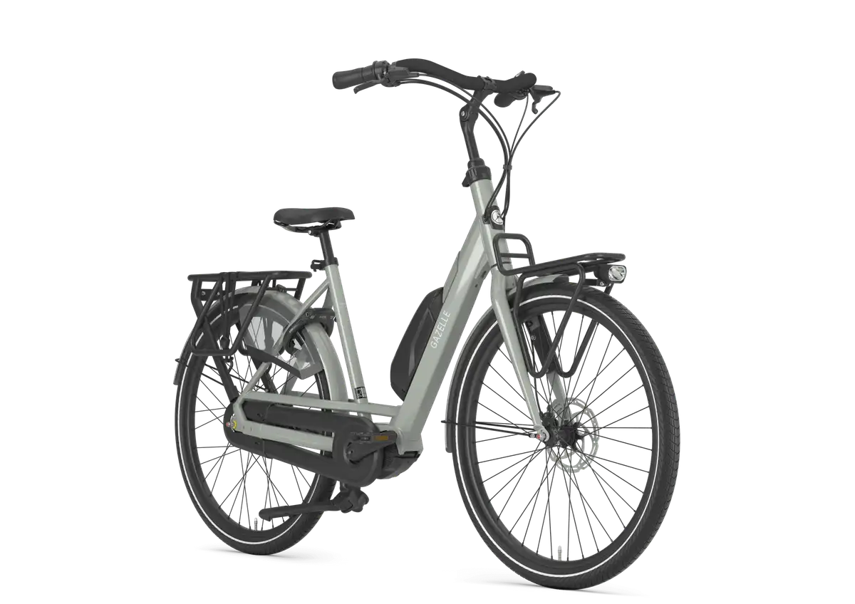 Gazelle Bloom C310 - Afbeelding 2
