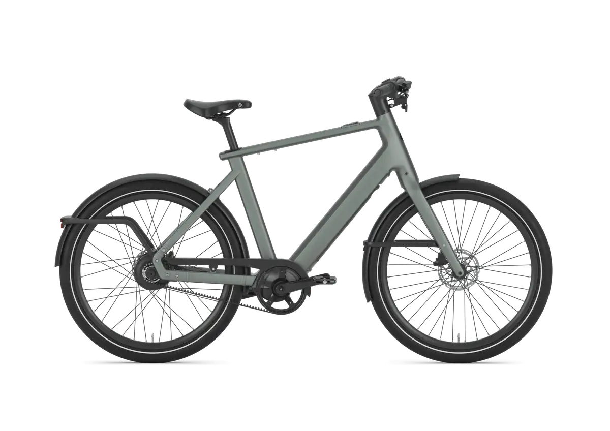Gazelle Cayo C310 - Afbeelding 1