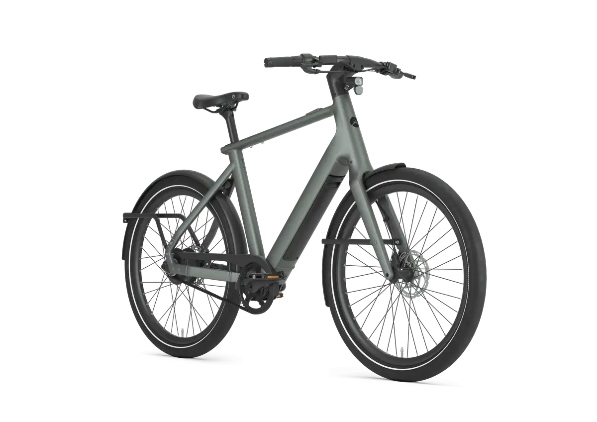Gazelle Cayo C310 - Afbeelding 2