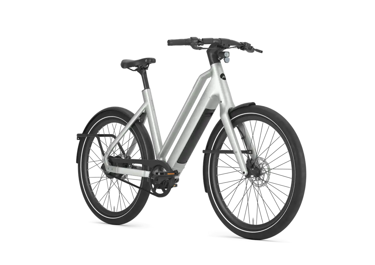Gazelle Cayo C310 - Afbeelding 2