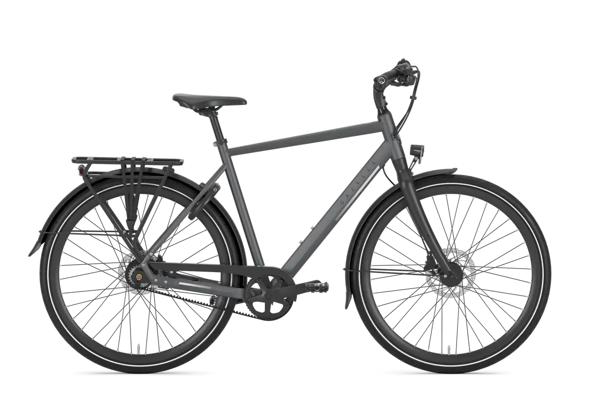 Gazelle Chamonix S11 - Afbeelding 1