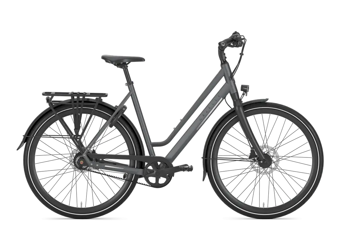 Gazelle Chamonix S11 - Afbeelding 1