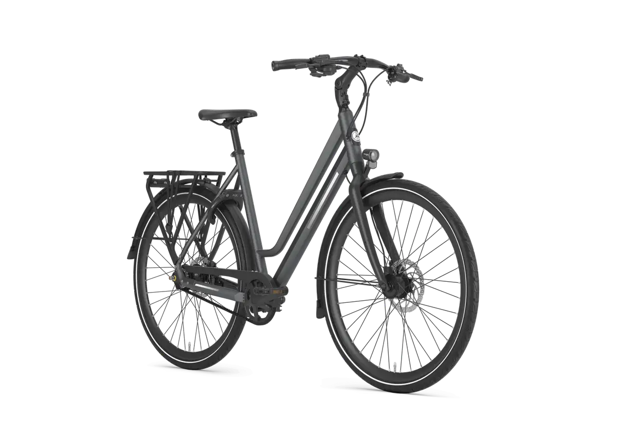 Gazelle Chamonix S11 - Afbeelding 2