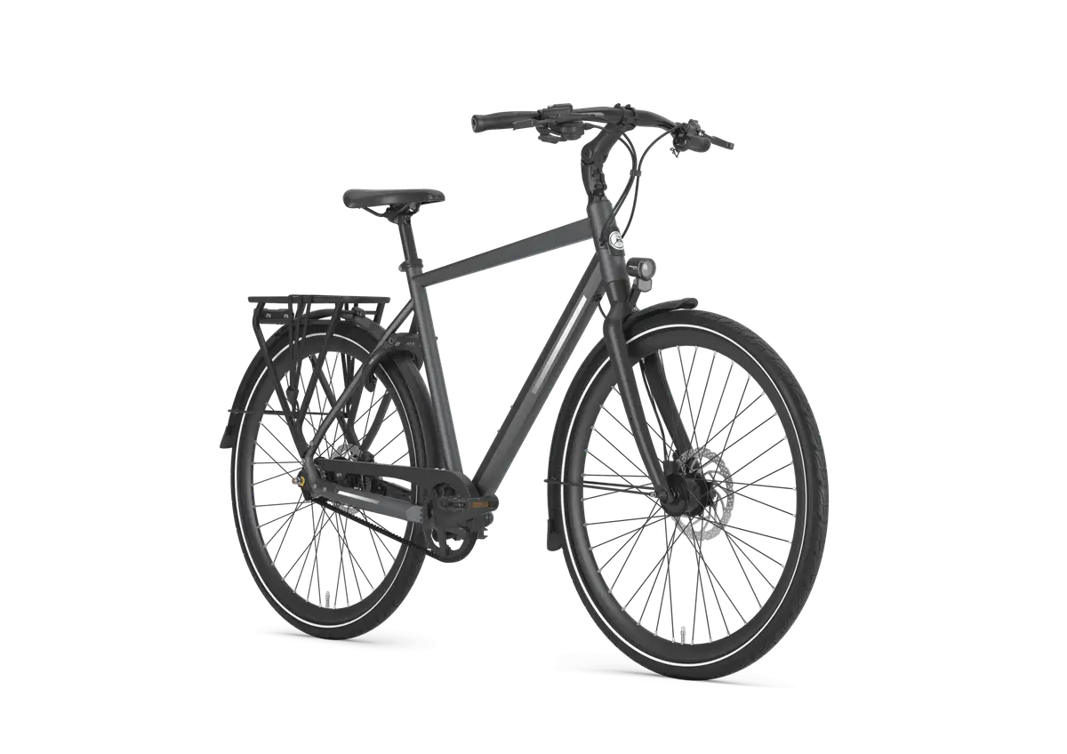 Gazelle Chamonix S11 - Afbeelding 2
