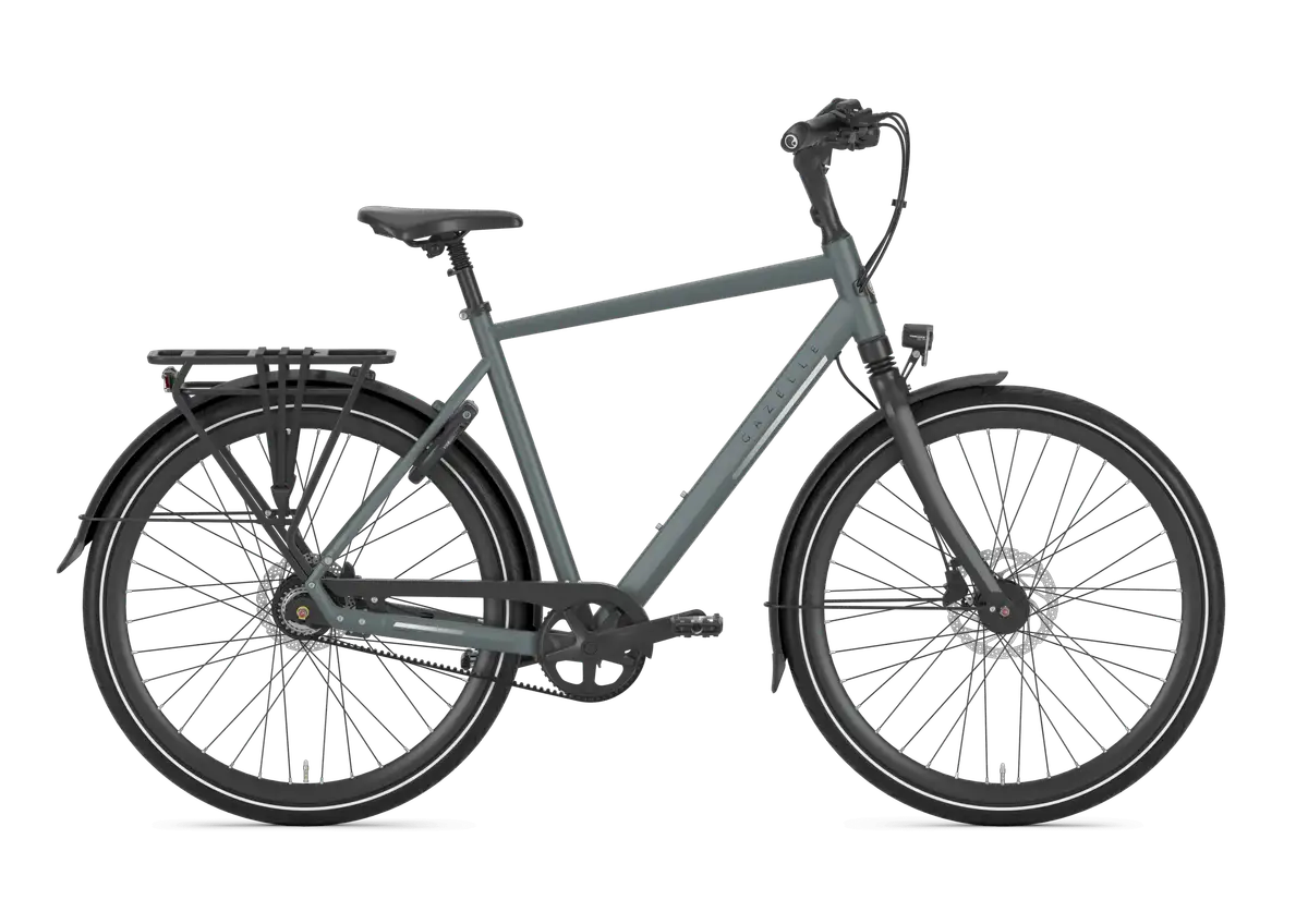Gazelle Chamonix S8 - Afbeelding 1