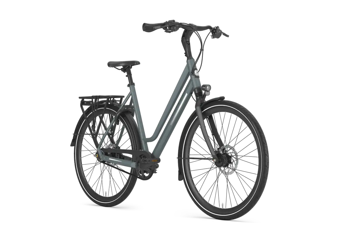 Gazelle Chamonix S8 - Afbeelding 2