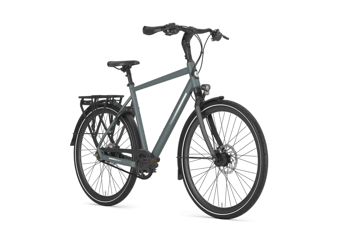 Gazelle Chamonix S8 - Afbeelding 2