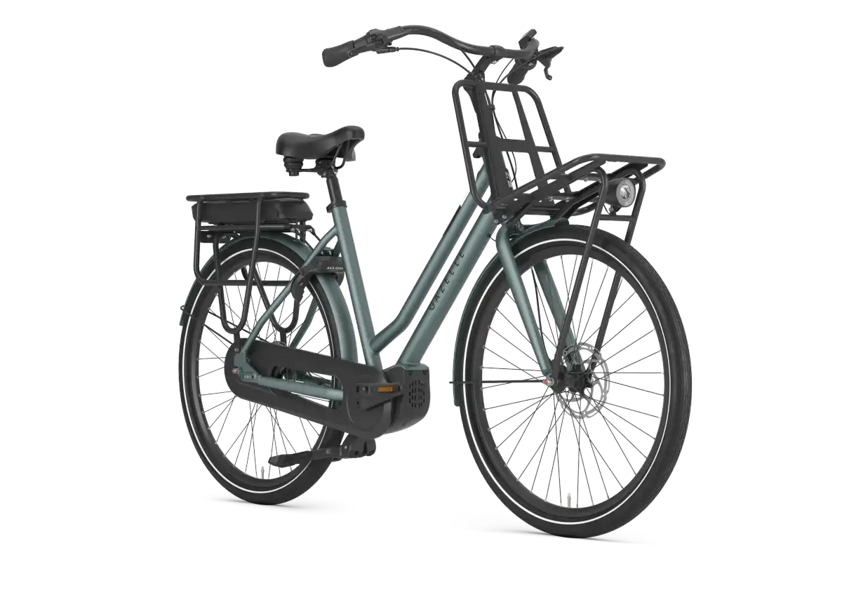 Gazelle HeavyDutyNL C5 - Afbeelding 2