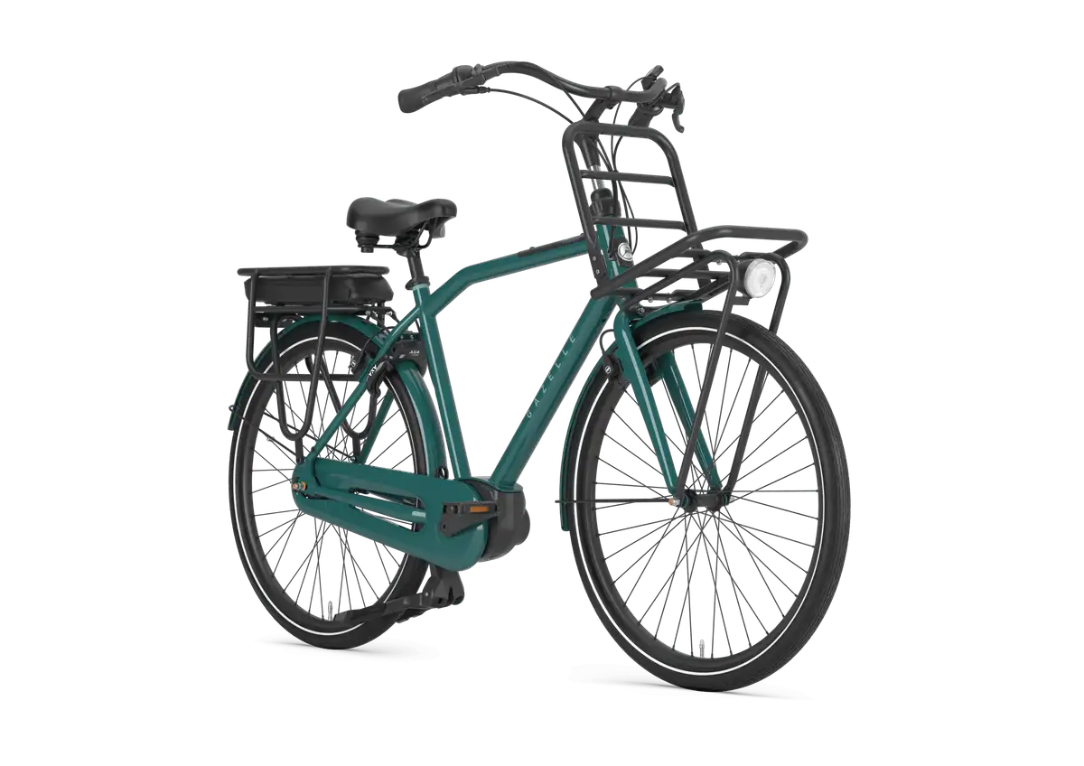 Gazelle HeavyDutyNL C7+ - Afbeelding 2