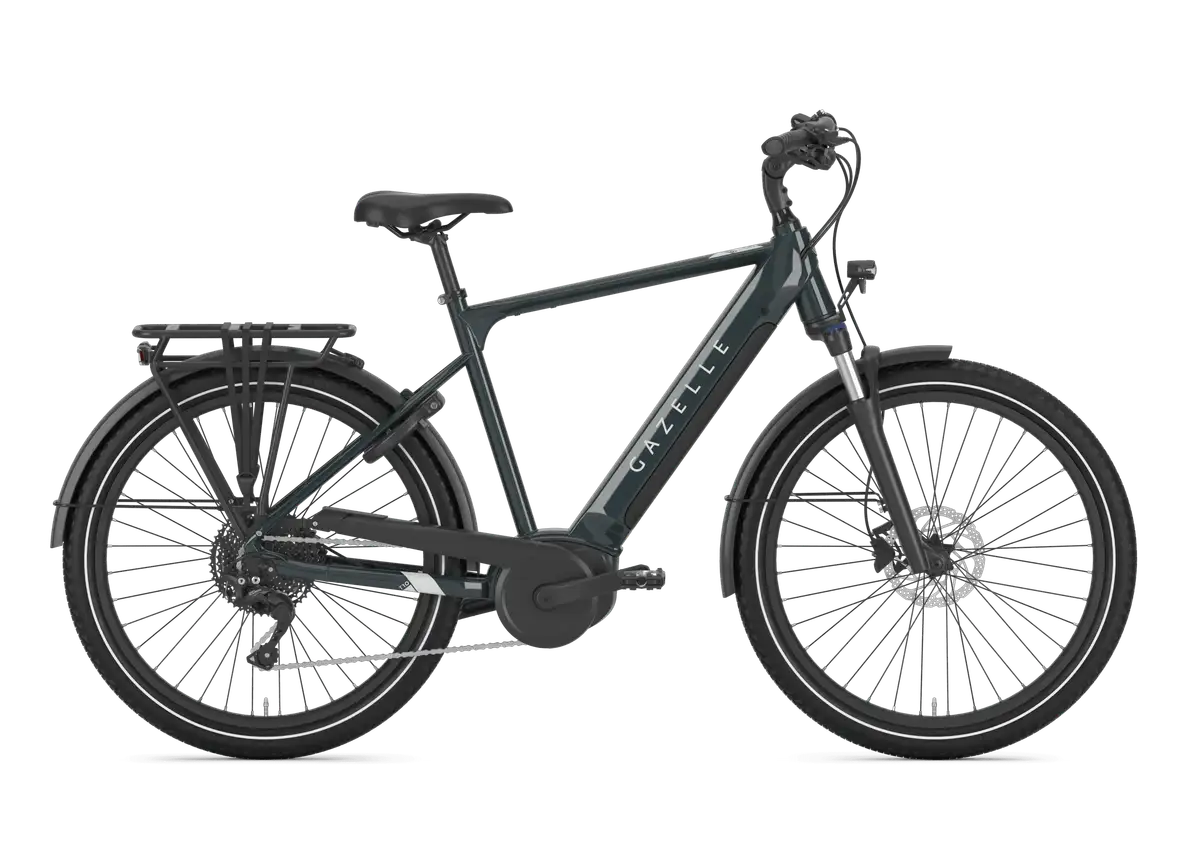Gazelle Medeo T10 - Afbeelding 1