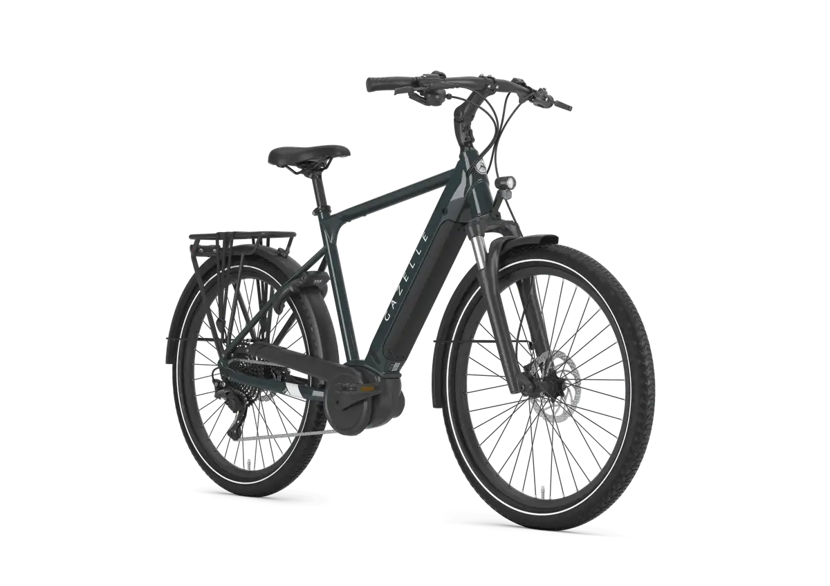 Gazelle Medeo T10 - Afbeelding 2