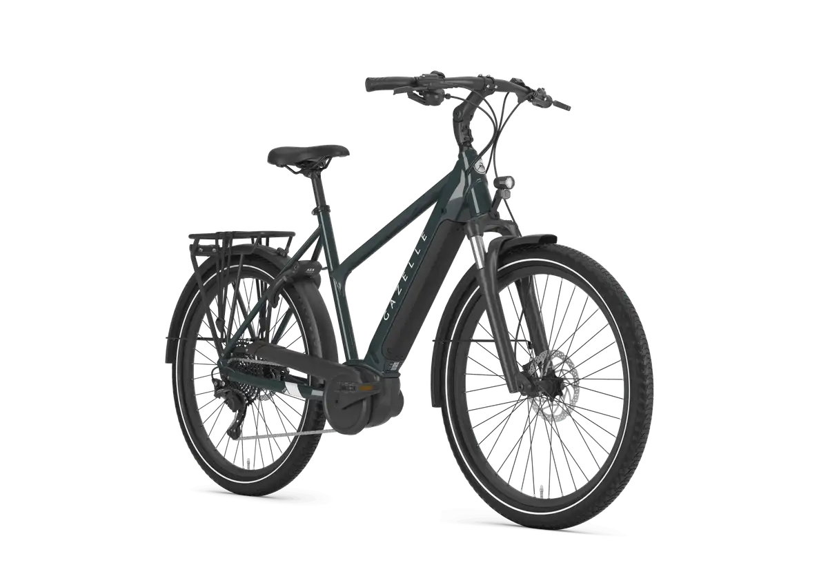 Gazelle Medeo T10 - Afbeelding 2