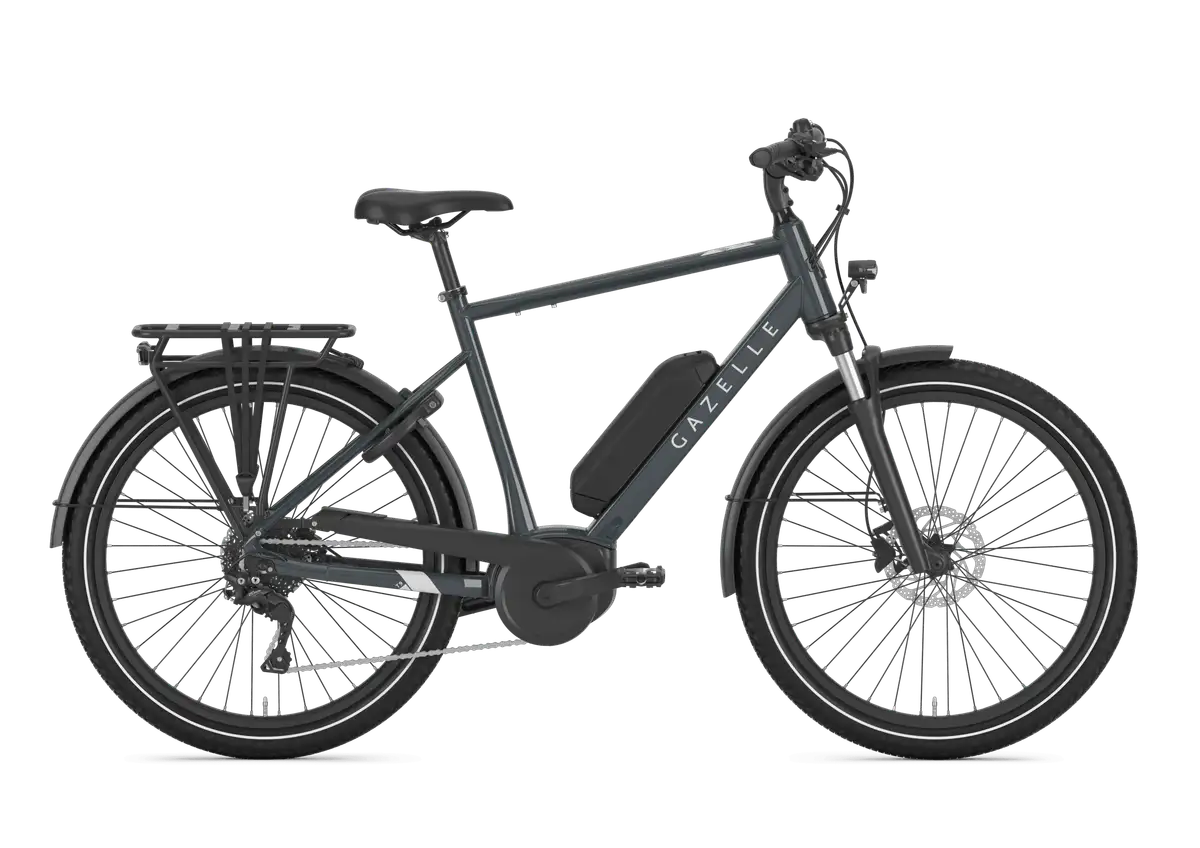 Gazelle Medeo T9 - Afbeelding 1