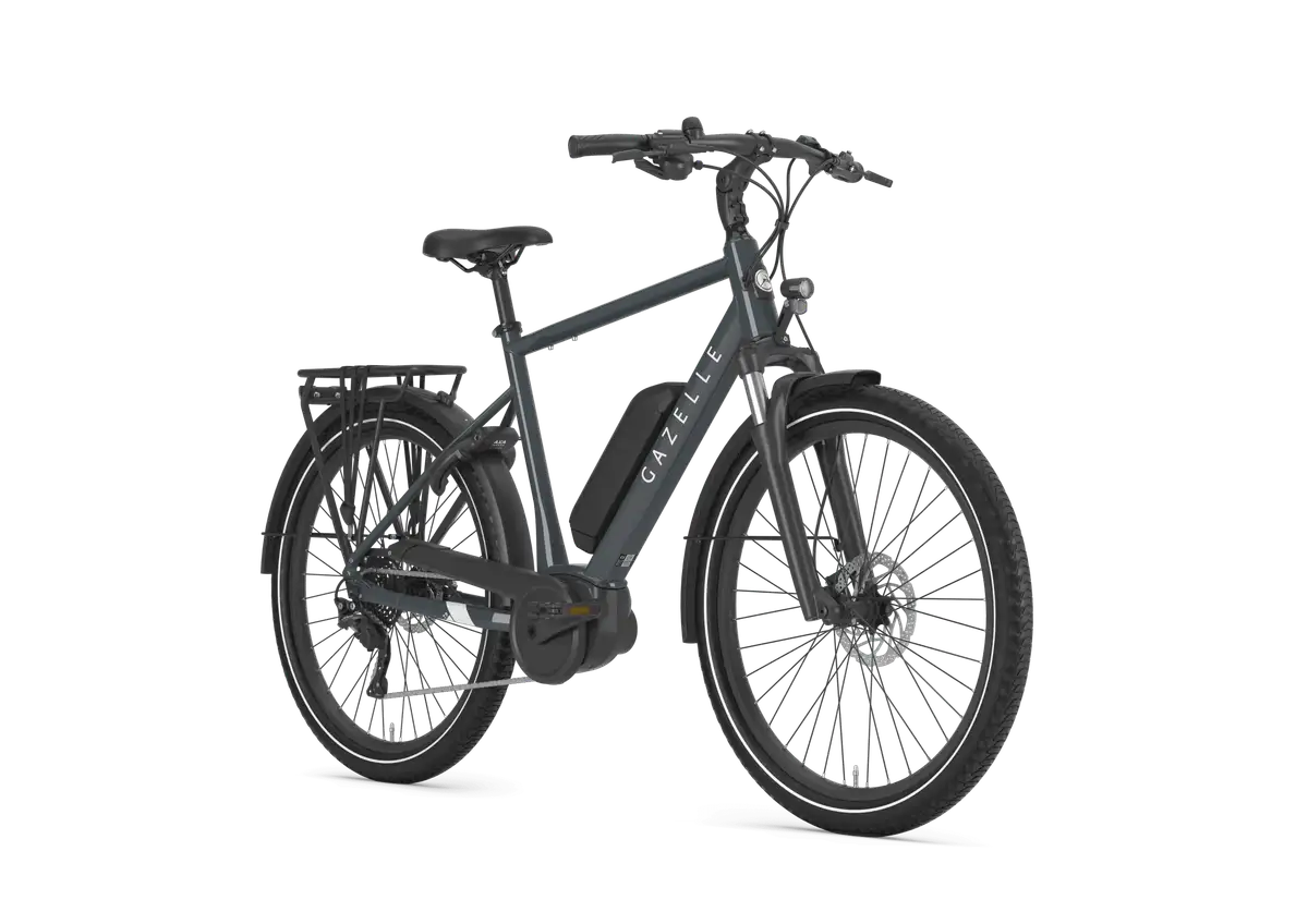 Gazelle Medeo T9 - Afbeelding 2