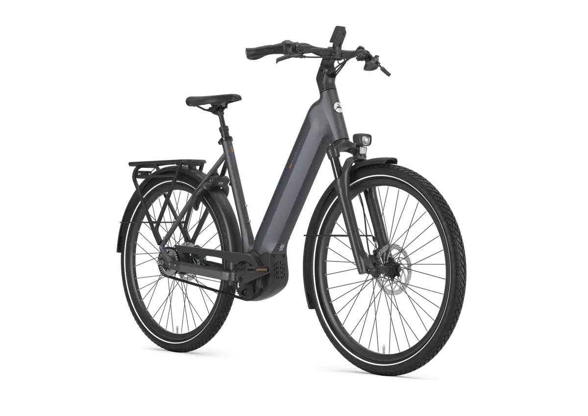 Gazelle Ultimate C5+ - Afbeelding 2