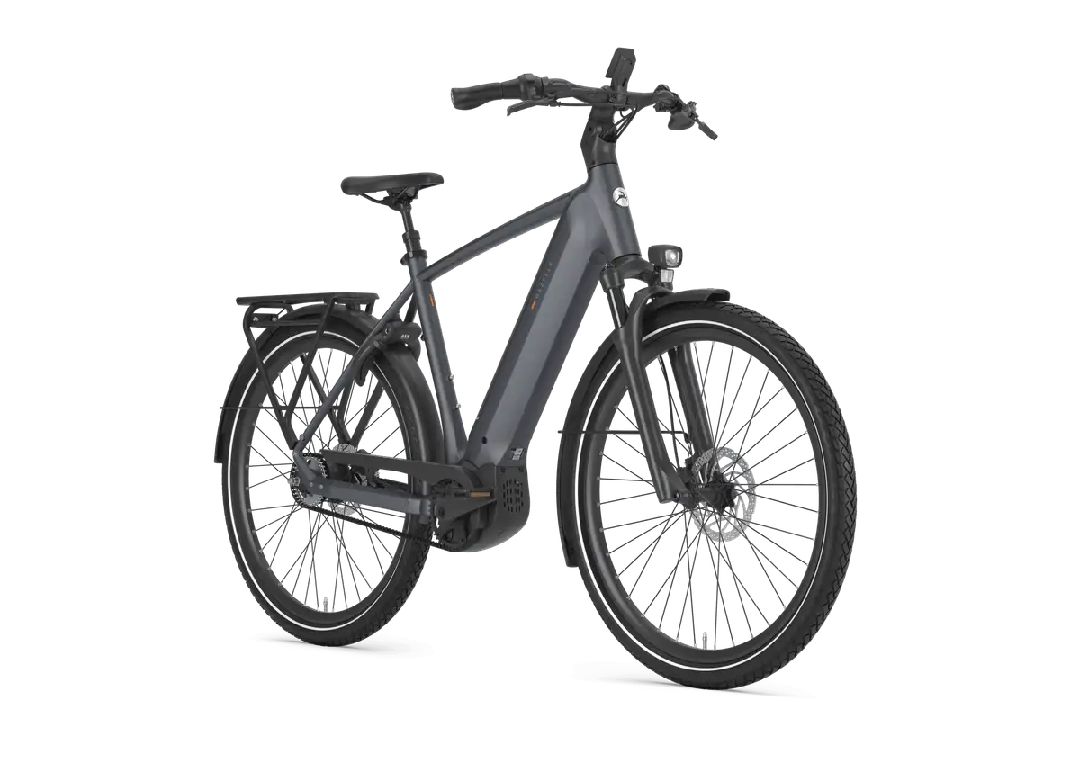 Gazelle Ultimate C5+ - Afbeelding 2
