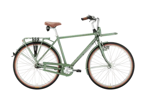 Excelsior Swan-Retro FT Alu