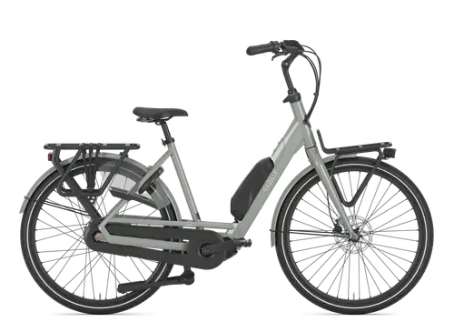 Gazelle Bloom C310