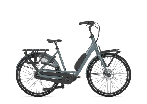 Gazelle Bloom C7