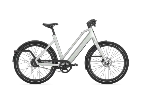 Gazelle Cayo C310