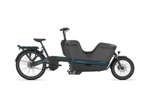Gazelle Makki Urban