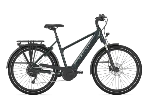 Gazelle Medeo T10
