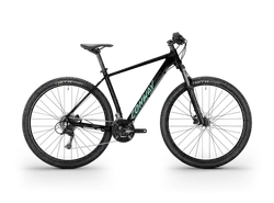 Conway Razz 4.0