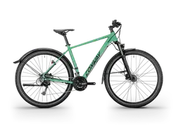 Conway Razz C 4.0