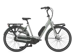 Gazelle Bloom C310