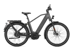 Gazelle Eclipse Speed