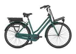 Gazelle HeavyDutyNL C7+