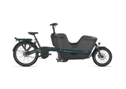 Gazelle Makki Urban