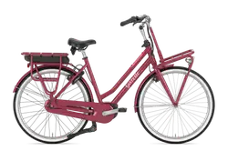 Gazelle Miss Grace C7