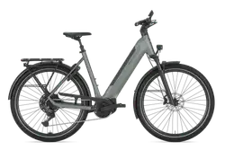 Gazelle Ultimate T11
