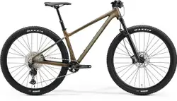 Merida BIG NINE TR LIMITED
