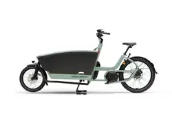 Urban Arrow FamilyNext Advanced Automatiq